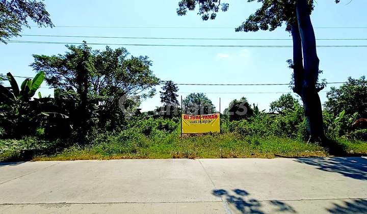 Tanah Murah Jl Raya Besar Akses Kontainer Di Kraton Pasuruan Cocok Utk Pabrik Gudang