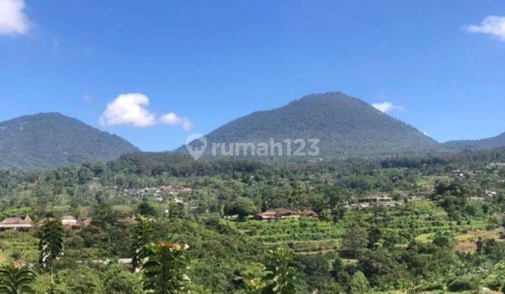 Tanah Murah View Bukit, Gunung Dan Danau Di Bedugul Bali Cocok Untuk Resor Hotel Dan Villa Mewah 1