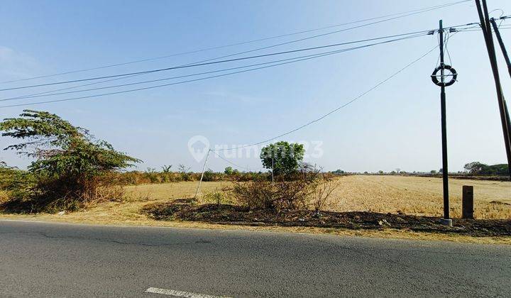 Tanah Murah Strategis Raya Benjeng Area Industri Dejat Til Cerme Cocok Utk Pabrik Gudang 1