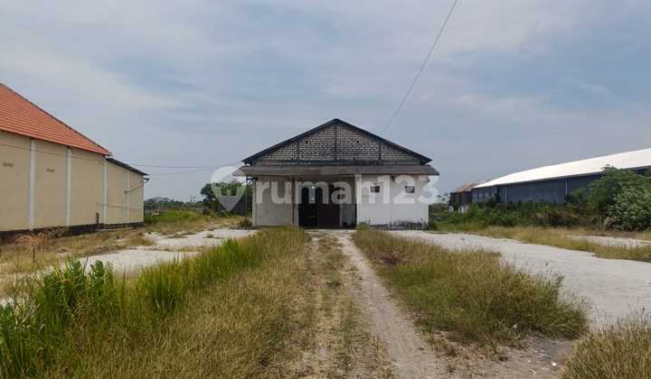 Cheap Warehouse on Jl Raya Container Access in Benjeng Gresik Near Surabaya Cheap Warehouse on Jl Raya Container Access in Benjeng Gresik Near Surabaya