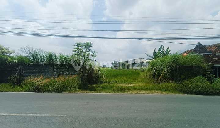 Tanah Murah Jl Raya Balongpanggang Gresik Cocok Utk Gudang Pabrik Spbu Rumah Sakit Sekolah