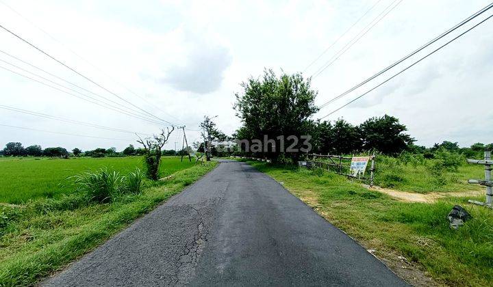 Tanah Murah Raya Benjeng Gresik Dkt Sby Cocok Utk Pabrik Gudang  2