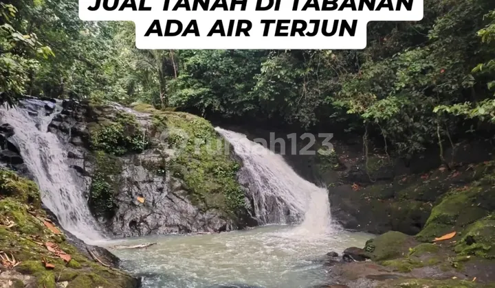 Tanah Murah Ada Air Terjun di Lokasi Berkembang Tabanan Bali Cocok untuk Resort Komplek Vila dan Hotel Tanah Murah Ada Air Terjun di Lokasi Berkembang Tabanan Bali Cocok untuk Resort Komplek Vila dan Hotel