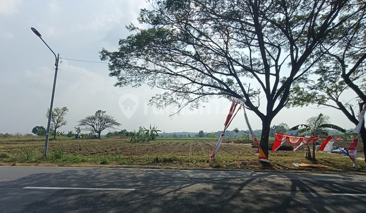 Tanah Industri Murah Siap Bangun Raya Mantup Lamongan Cocok Utk Pabrik Gudang Dekat Gresik Tanah Industri Murah Siap Bangun Raya Mantup Lamongan Cocok Utk Pabrik Gudang Dekat Gresik