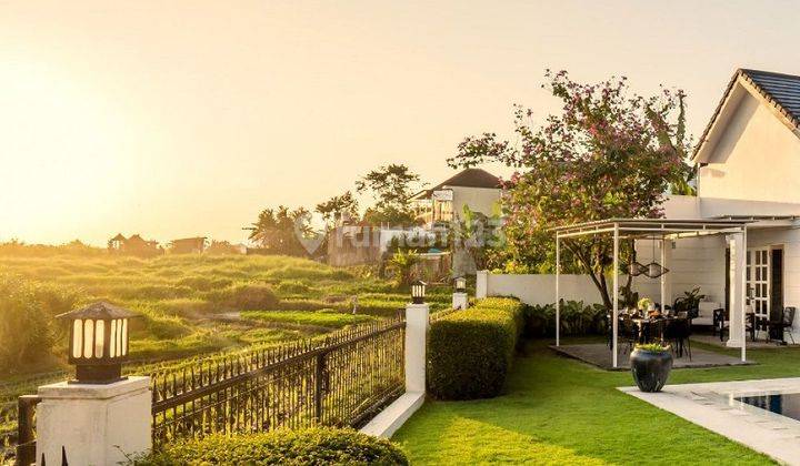 Rumah Villa Keren Bergaya Kolonial Dg View Sawah Di Pererenan Dekat Canggu Bali  2