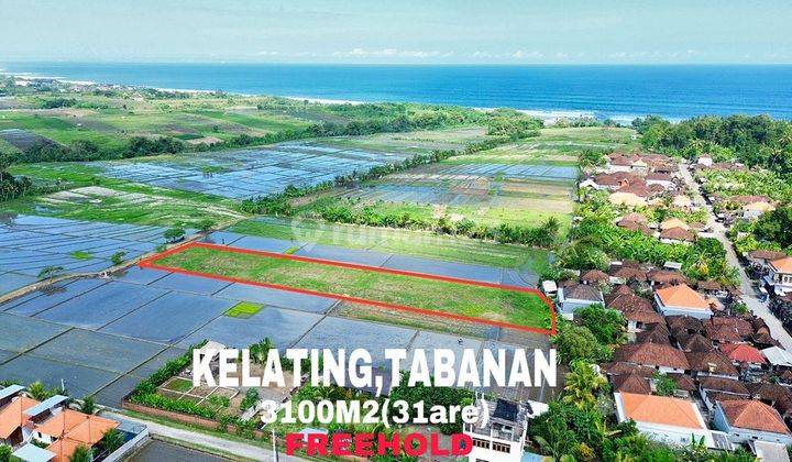 Tanah Murah Shm Di Tepi Pantai Kelating Tabanan Bali 1