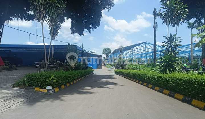 Stok Langka Gudang Baru Gress Ukuran Besar di Ngoro Industri Stok Langka Gudang Baru Gress Ukuran Besar di Ngoro Industri