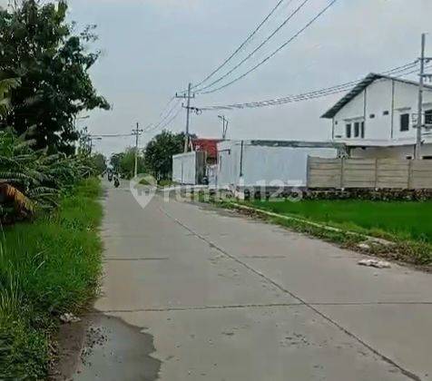 Tanah Shm Murah Jl Raya Akses Kontainer Cocok Utk Pabrik Di Purwodadi Pasuruan 2