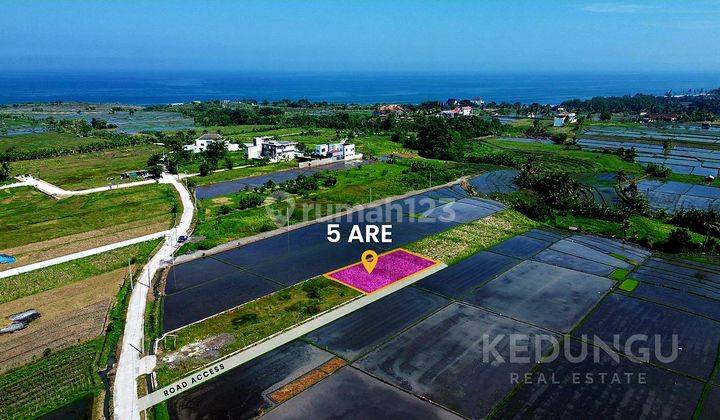 Tanah Kavling Villa Murah Dekat Pantai Kedungu Bali Dg View Sawah 1