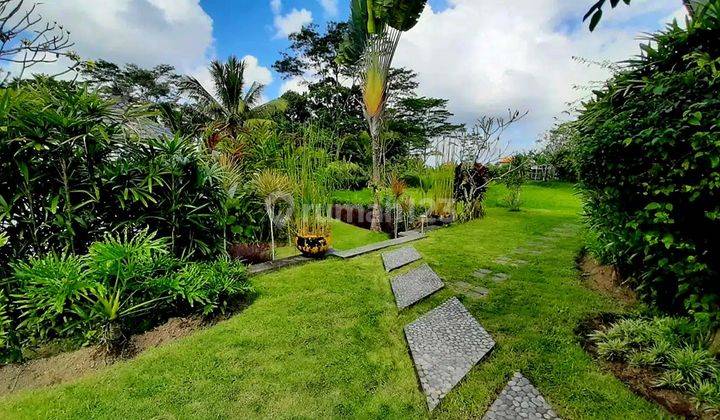 Villa Murah Dg Taman Luas Dan View Cantik Dekat Ubud Bali  2