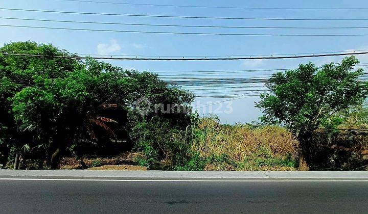 Tanah Murah Under Market Raya Purwosari Dekat Taman Dayu Dan Tol Cocok Utk Pabrik Gudang Dan Komersial 1