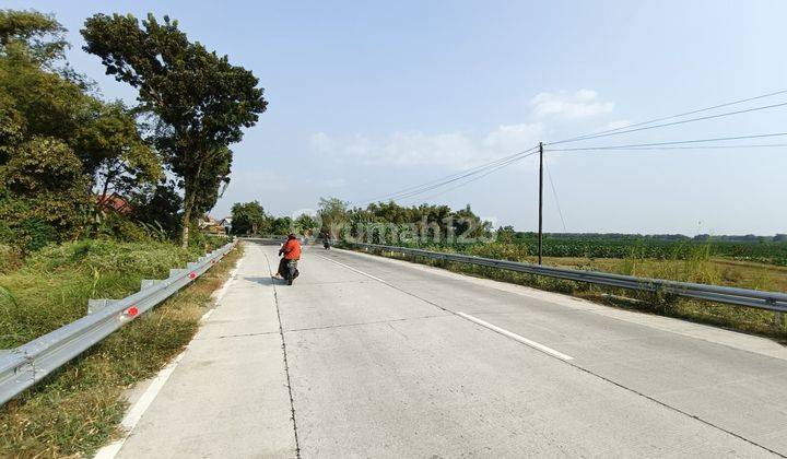 Stok Tanah Murah Nol Jl Raya Provinsi Akses Kontainer Di Ploso Jombang Cocok Utk Tempat Usaha Gudang Pabrik  2