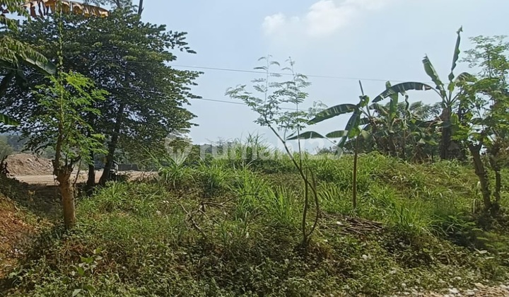 Dijamin Paling Murah Tanah Kawasan Industri Gempol Dekat Pabrik Gudang Garam Dijamin Paling Murah Tanah Kawasan Industri Gempol Dekat Pabrik Gudang Garam