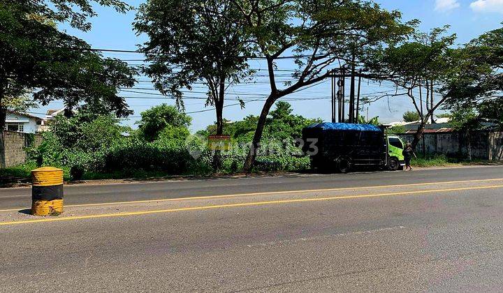 Dijamin Murah Tanah Komersial Jl Raya Provinsi Pasuruan Cocok Utk Gudang Dan Ruko Bisnis 1