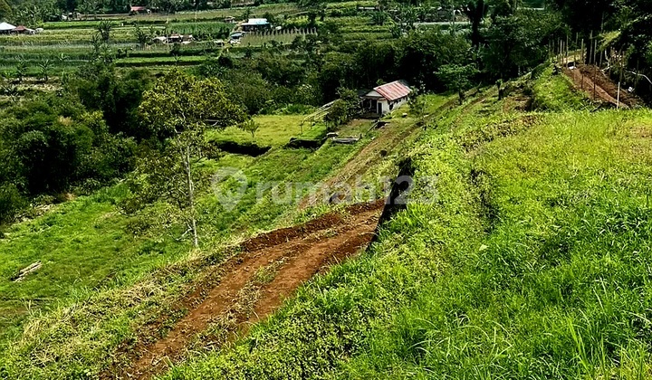 Land, Muraha View Hills & Mountains in Bedug Suitable; For Villa Resort or Hotel Land, Muraha View Hills & Mountains in Bedug Suitable; For Villa Resort or Hotel