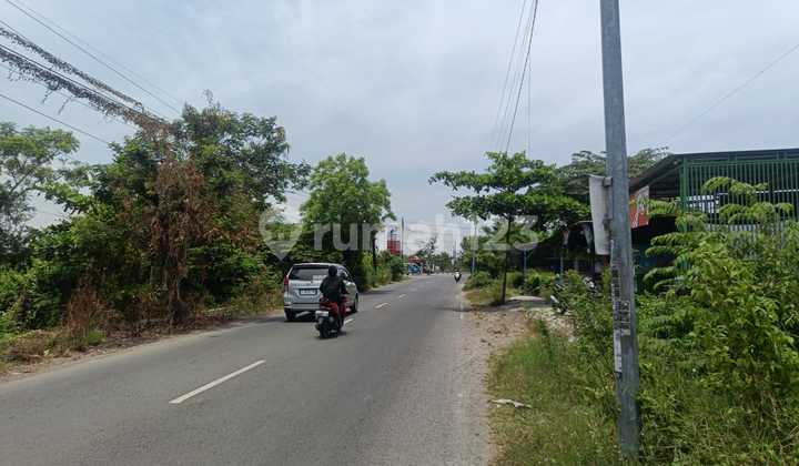 Cheap Warehouse on Jl Raya Container Access in Benjeng Gresik Near Surabaya Cheap Warehouse on Jl Raya Container Access in Benjeng Gresik Near Surabaya