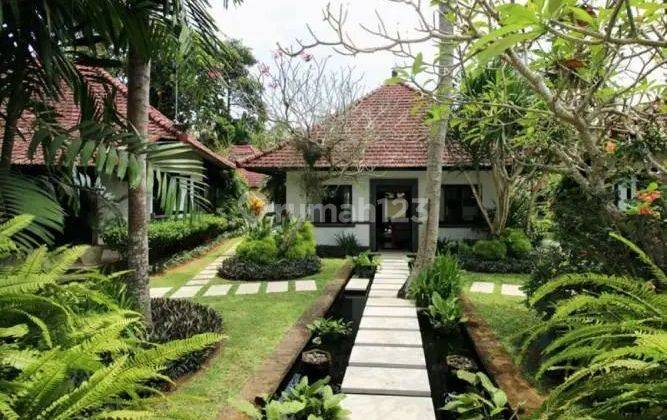 Stok Murah Villa Mewah View Sungai Dan Hutan Dekat Pantai Pasut 1