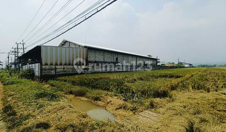 Tanah Kering Murah Cocok Utk Pabrik Gudang Jl Raya Mojoagung Tanah Kering Murah Cocok Utk Pabrik Gudang Jl Raya Mojoagung