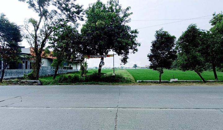 Tanah Komersial Murah Jl Raya Besar Mojosari Cocok Utk Ruko Dan Gudang 1
