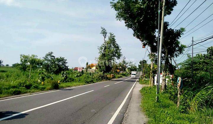 Tanah Murah Raya Mantup Lamongan Cocok Utk Tempat Usaha, Parkir, Gudang  2
