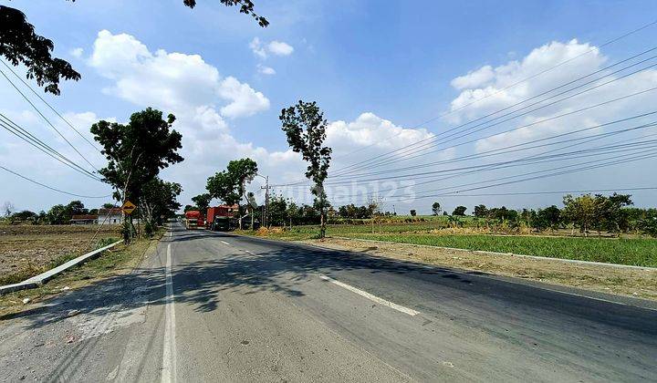 Tanah Paking Murah Di Jl Raya Mantup Lamongan Cocok Utk Gudang Dan Tempat Usaha  2