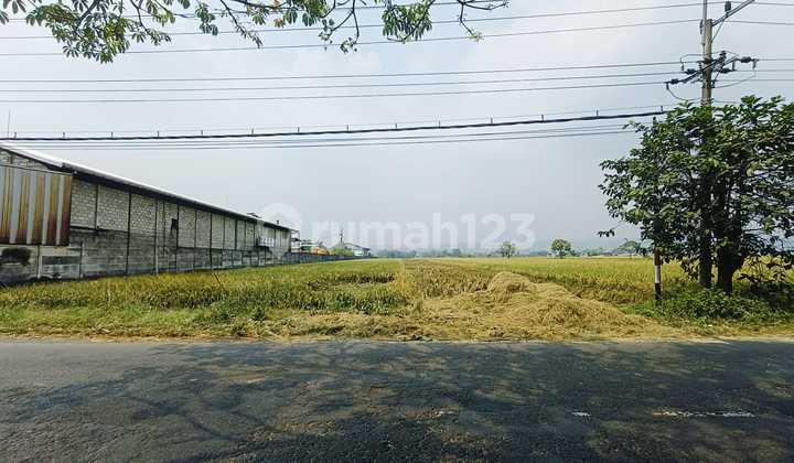 Tanah Kering Murah Cocok Utk Pabrik Gudang Jl Raya Mojoagung Tanah Kering Murah Cocok Utk Pabrik Gudang Jl Raya Mojoagung