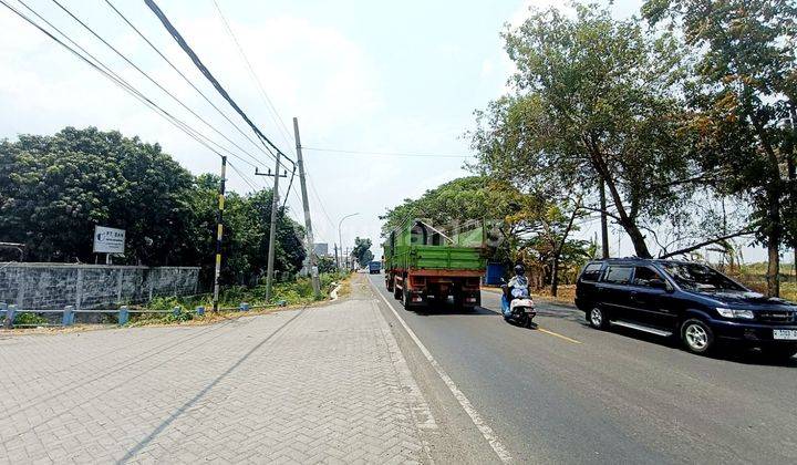 Tanah Murah Raya Iker2 Cerme Gresik Dekat Tol Dan Surabaya Cocok Untuk Pabrik Gudang Dan Tempat Usaha  2