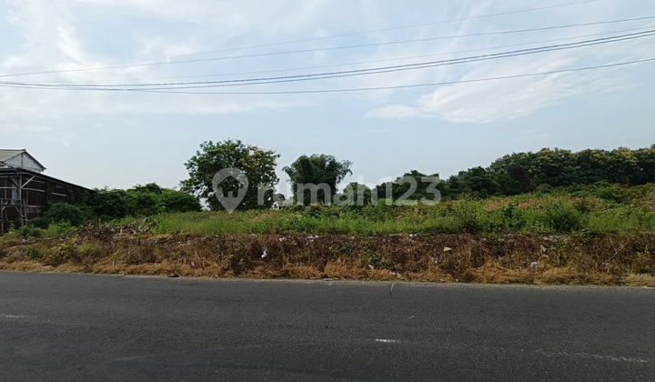Cheap Land on Jl Raya Bungah Near Manyar Jiipe, Suitable for Business & Warehouse Cheap Land on Jl Raya Bungah Near Manyar Jiipe, Suitable for Business & Warehouse