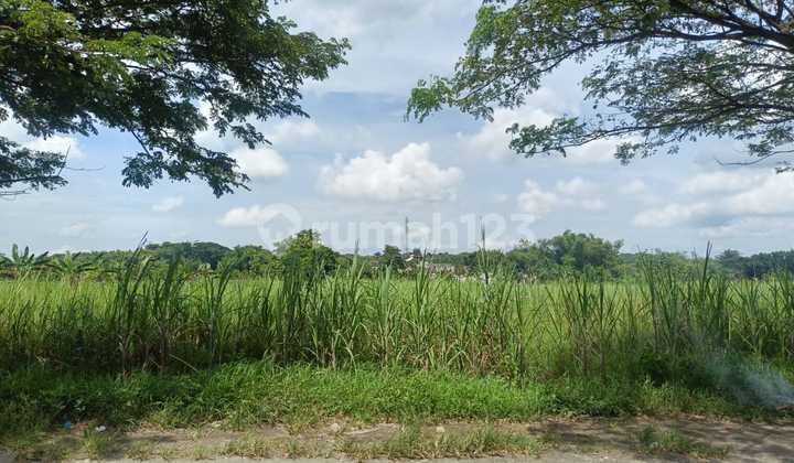 Tanah Industri Murah Cocok Utk Gudang Pabrik di Kabuh Jombang