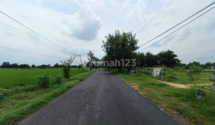 Tanah Super Murah Di Balongpanggang Jl Raya Akses Kontainer Cocok Untuk Gudang Pabrik 2