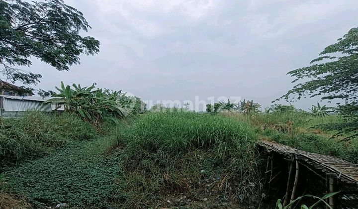Tanah Murah Jl Raya Cerme Gresik Dekat Surabaya Cocok Untuk Komplek Ruko Dan Perumahan 1