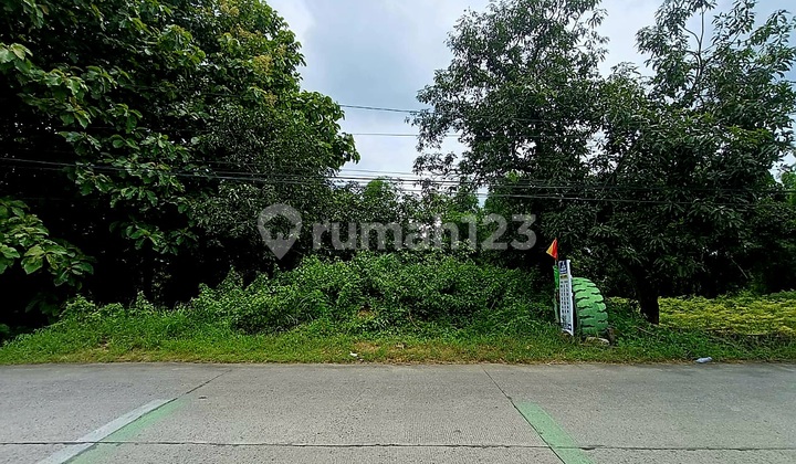 Tanah Industri Murah Jl Raya Dawarblandong Mojokerto Dekat Kedamean Gresik