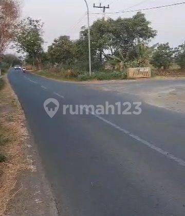 Tanah Komersial Murah Punggir Jln Raya Balongpanggang Dekat Surabaya Cocok Untuk Trmpat Usaha Pabrik Dan Gudang  1