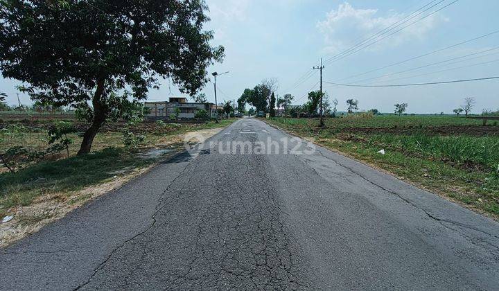 Stok Langka Tanah Murah Nol Jl Raya Balongpanggang Cocok Utk Perumahan Ruko Gudang Dekat Surabaya, Mojokerto Dan Lamongan  2