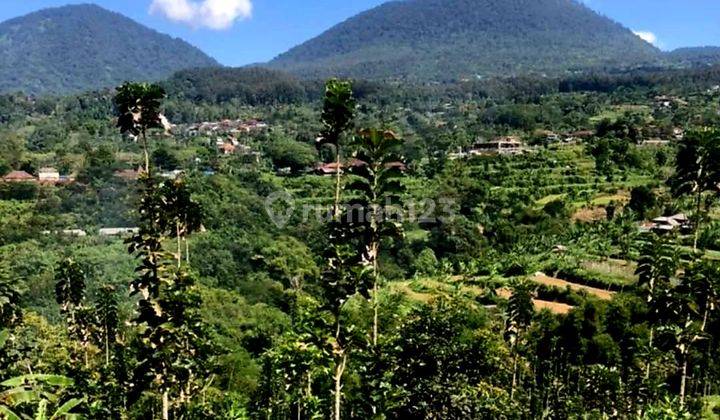 Tanah Murah Strategis Untuk Villa Di Baturiti Bedugul Bali 2