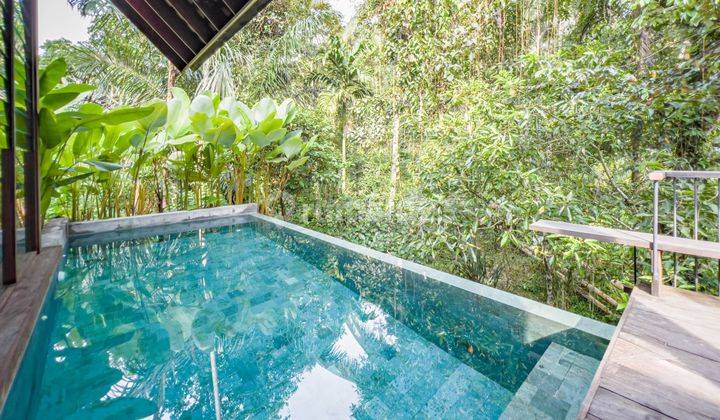 Villa Etnik Baru Gress Dg View Hutan Dekat Capella Ubud Bali 2