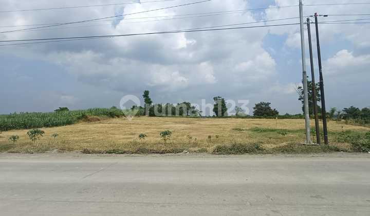 Tanah Murah Jl Raya Kawasan Industri Pabrik & Gudang di Jetis Mojokerto Tanah Murah Jl Raya Kawasan Industri Pabrik & Gudang di Jetis Mojokerto