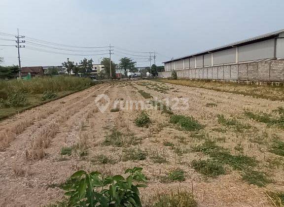 Tanah Murah Kawasan Industri Jl Raya Besar Area Ngoro Mojokerto  1