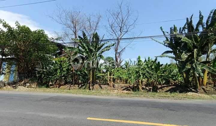 Tanah Jl Raya Menganti Kawasan Industri Akses Kontainer Dekat Sby