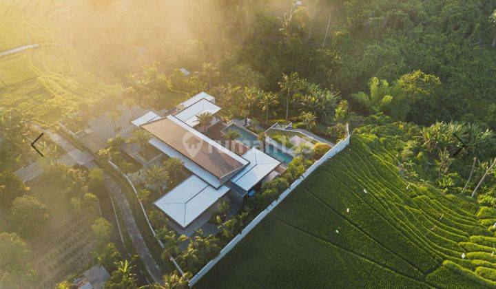 Villa Premium Dg View Bukit Indah Dan Fssilitas Mewah Di Nyambu Tabanan Bali 2