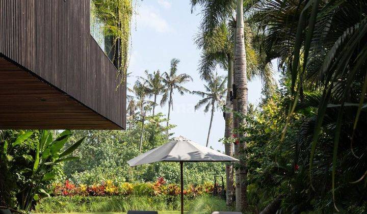 Villa Mewah Bergaya Natural Industrial Di Pererenan Bali 2