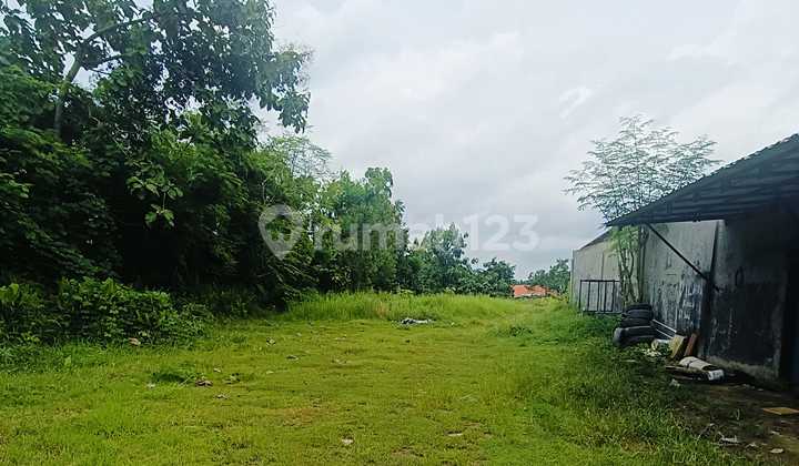 Tanah Murah Nol Jl Raya Dawarblandong Mojkmerto Dekat Tol dan Menganti Cocoknutk Gudang dan Ruko Toko Tempat Usaha