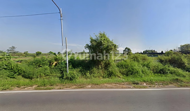 Limited Stock Large-Sized Industrial Land Cheap in Mantup, Lamongan, Suitable for Factories & Warehouse Complexes Limited Stock Large-Sized Industrial Land Cheap in Mantup, Lamongan, Suitable for Factories & Warehouse Complexes