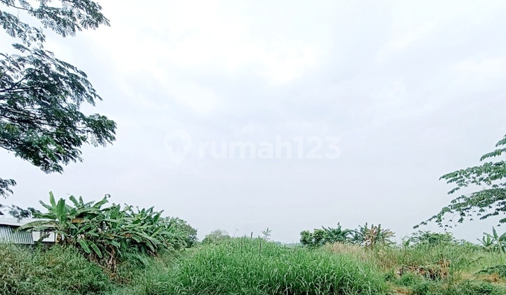 Commercial Land in Raya Cerme near Surabaya, accessible for containers, suitable for warehouses, factories, shops, or business lots. Commercial Land in Raya Cerme near Surabaya, accessible for containers, suitable for warehouses, factories, shops, or business lots.