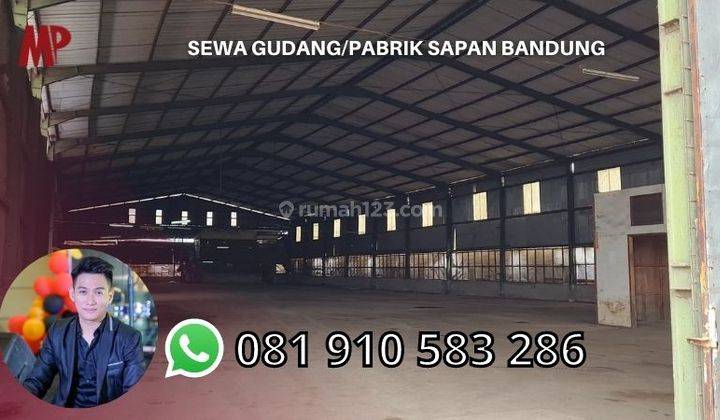 Sewa Gudang Sapan Bandung Bisa Produksi  1