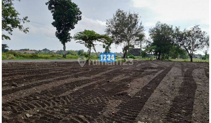 Tanah Klaten Kawasan Wisata Candi Prambanan, SHM Pekarangan 1