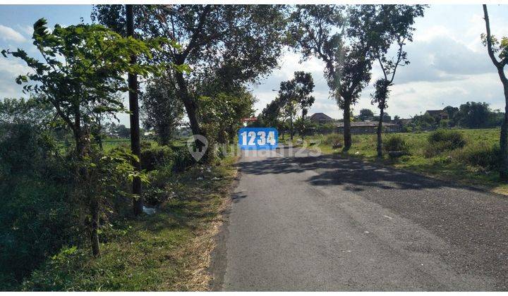 Tanah Klaten Kawasan Wisata Candi Prambanan, SHM Pekarangan 2