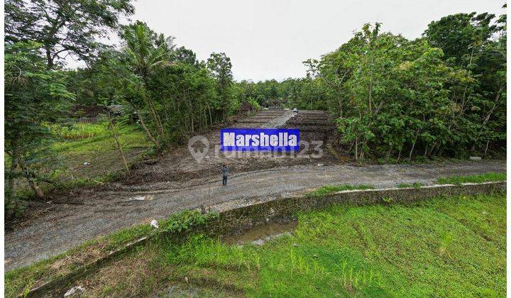 Jual Tanah Kulon Progo Siap Ajb, Harga 2 Jutaan 1