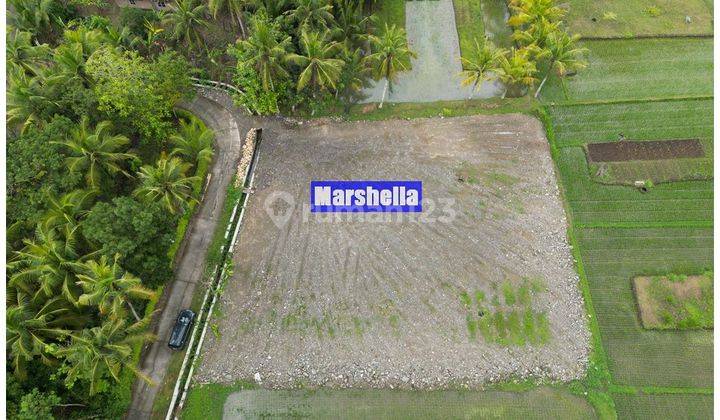 Jual Tanah Kulon Progo Cocok Investasi Termurah 1