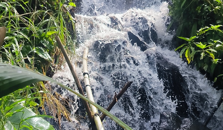 Tanah 6000 Shm Sukajadi Tamansari Bogor Jawa Barat Tanah 6000 Shm Sukajadi Tamansari Bogor Jawa Barat